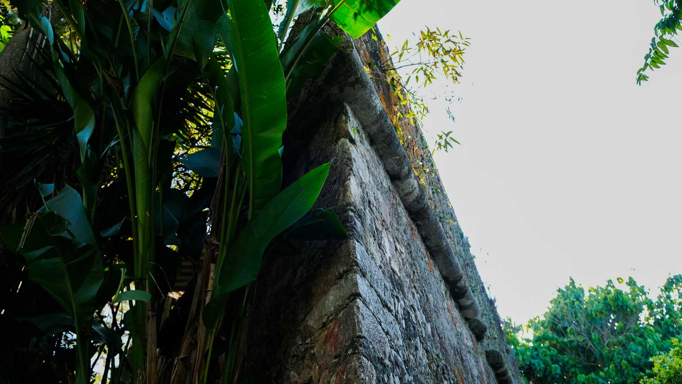 Close-up of brickwork and palm fronds at Fort Jacques, Kenscoff