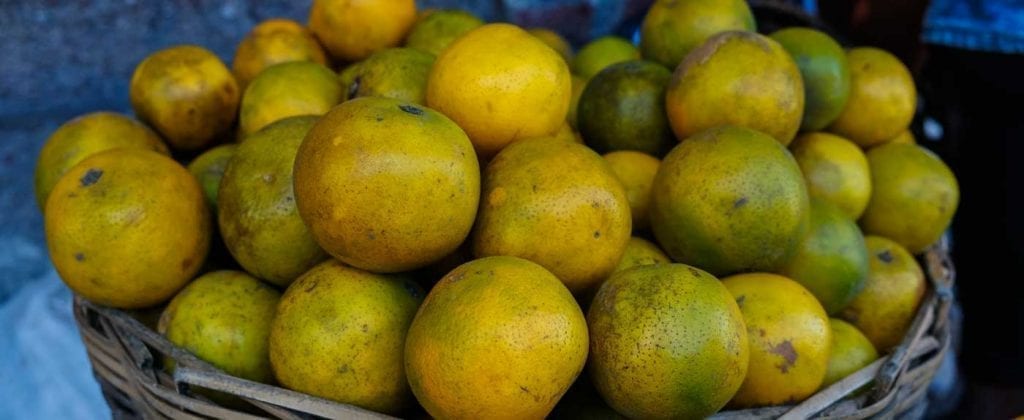 Basket of fresh green oranges