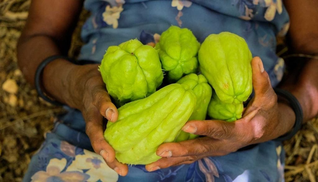 haitian woman holding a bunch of