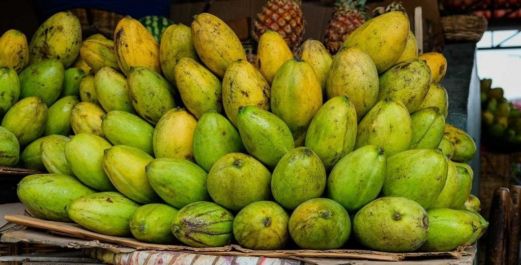 mango fruits on display with pineapples