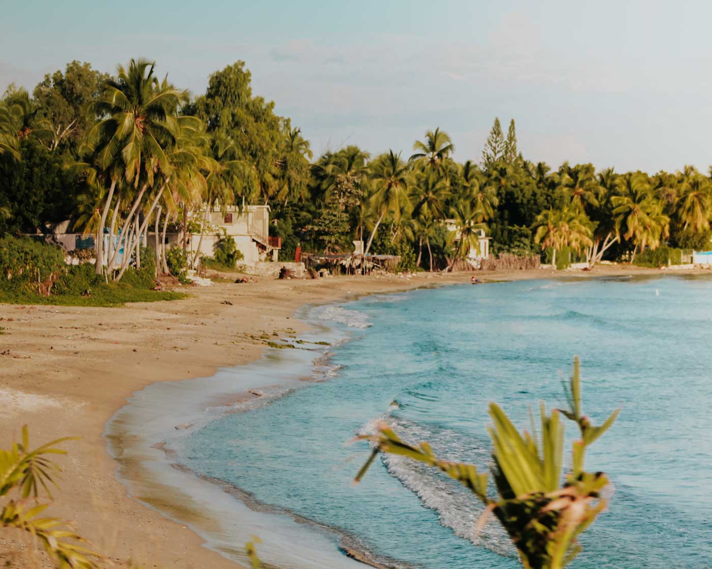 sand beach lined with palm trees in saint-marc