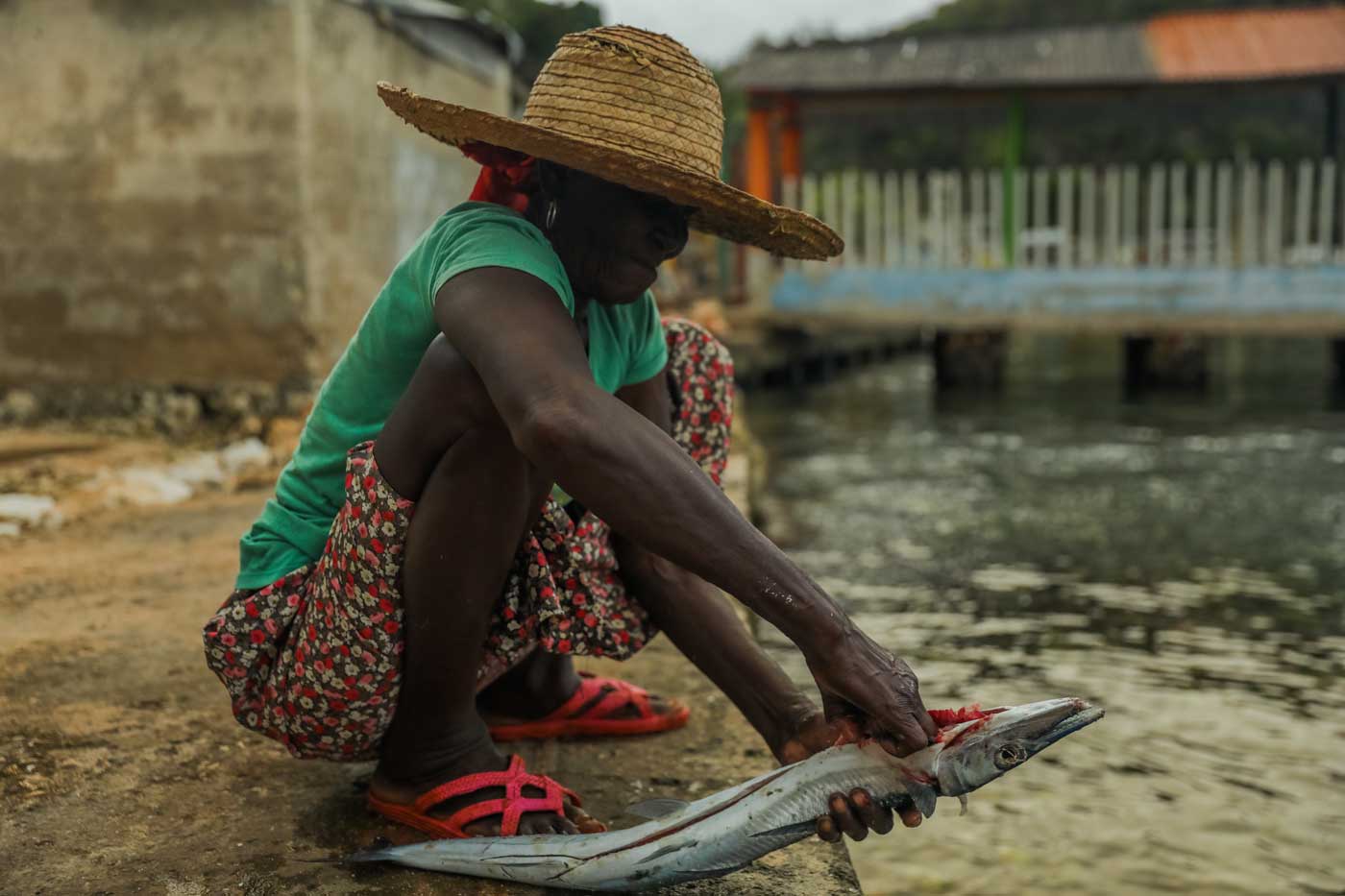 haitian woman with straw hat cleaning fish