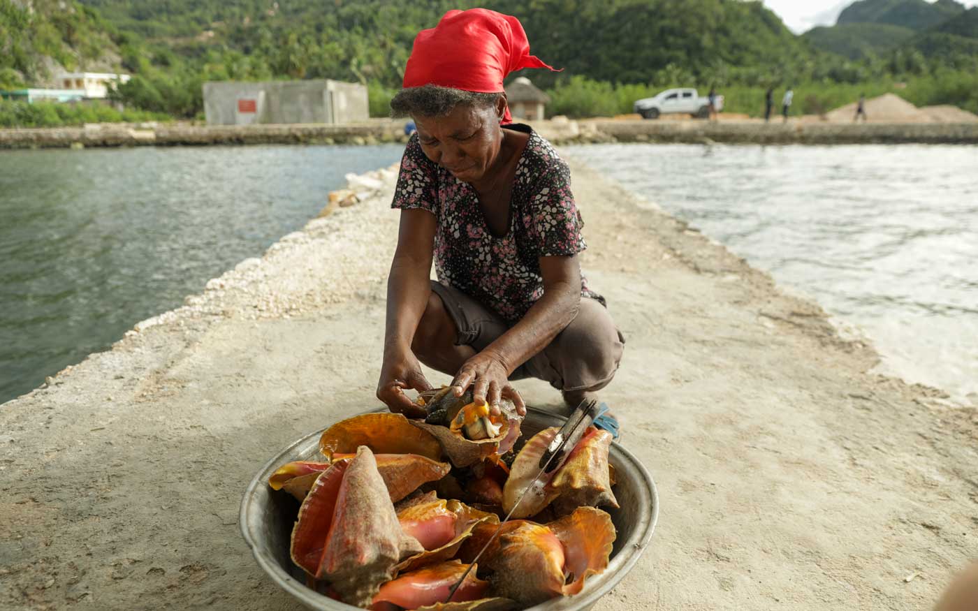 haitian woman with red head scarf and bowl of conch