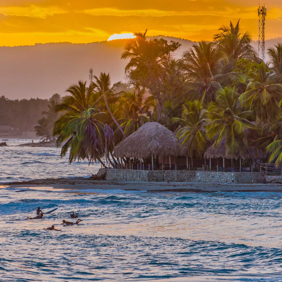 people surfing on a coast with palm trees and sun setting behind mountains
