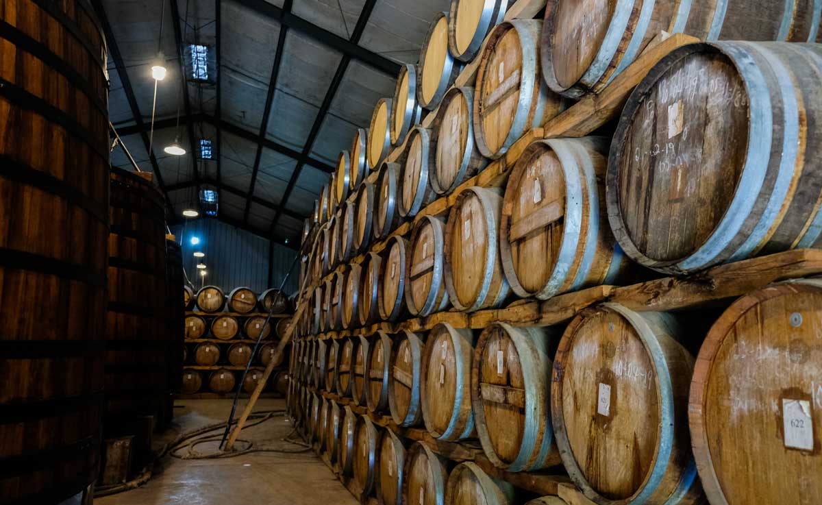 warehouse filled with wooden rum barrels